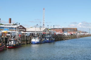 Der Fischmarkt in Cuxhaven