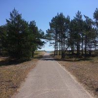 01_oeland-36