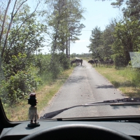 02_byrum-22