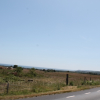 04_landoens-13