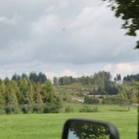 IMG_9105