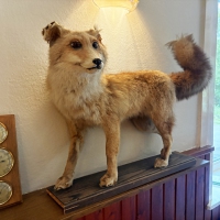 25-09-26-16-01-38-0477