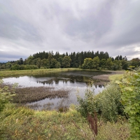 25-09-26-17-17-30-0498_b