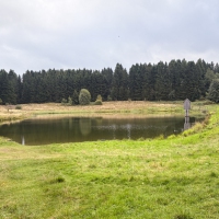 25-09-27-09-41-59-0588