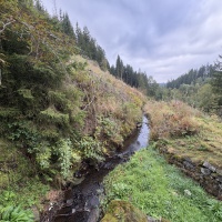 25-09-27-10-15-02-0631